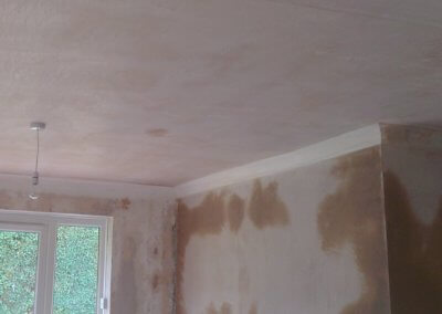 Mr Barker: New living-room plaster